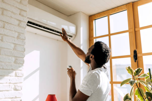 Best Local HVAC Companies  in Madison Lake, MN