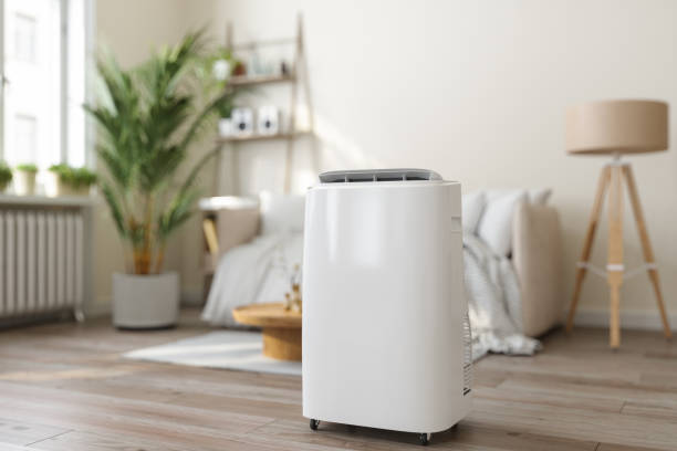 Best Ductless HVAC Repair  in Madison Lake, MN